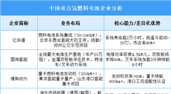 2025年中国氢燃料电池重点企业业务布局预测分析（图）